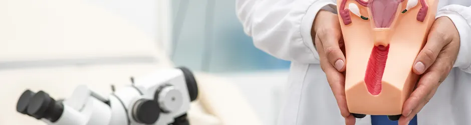 Laparoskopik Cerrahi Kadın Doğum ve Miyom Ameliyatı